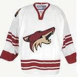 CCM Phoenix Coyotes Replica Jersey - NHL Replica Adult Jerseys