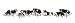 Search : N Holstein Cows