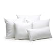 Pillow Insert 24 x 24