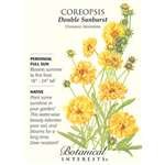Botanical Interest - Coreopsis Double Sunburst