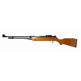 Air Gun