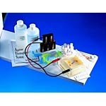 Introduction to Electrophoresis Complete Lab System
