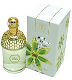 Aqua Allegoria Anisia Bella By Guerlain For Women. Eau De Toilette Spray 4.2 Ounces