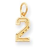 14k Yellow Gold Small Diamond-cut Number 2 Charm