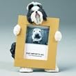Shih Tzu Black and White (2 1 2x3 1 2) Small Picture Frame