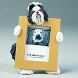 Shih Tzu Black & White (2 1/2x3 1/2) Small Picture Frame