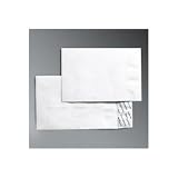 WEVCO804 - Tyvek Catalog Envelopes