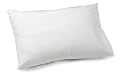 Cool Sensations Down Alternative Standard Pillow