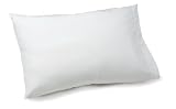 Cool Sensations Down Alternative Standard Pillow
