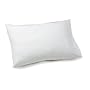 Cool Sensations Down Alternative Standard Pillow