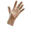 Polythene Disposable Gloves (Boxed) - 100