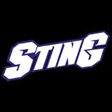 Char Sting WNBA Jersey - (New '05) (EA)