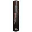 Sebastian Professional SHAPER ZERO GRAVITY Dry, Brushable (10.6 oz, 300g) - Lightweight Control Hairspray