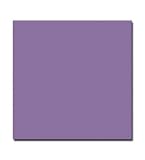 Scrapbook Paper, Celestial Scrap Studio, Baby Blessing, Girl, Solid Lilac- Perfect for Scrapbooking, Card Making and Designing, and Adding Decorative Touches to Picture Frames and Other Home Decor- Record All Your Favorite Memories with These Keepsake Letterings- LDS Families, Primary, Young Womens, Young Mens, Releif Society, Priesthood