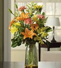 Same Day Flower Delivery Fields of Sunshine