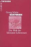 Bakterien. Die Welt der kleinsten Lebewesen.