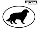 NEWFOUNDLAND Oval Bumper Sticker