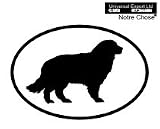 NEWFOUNDLAND Oval Bumper Sticker