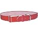 Sporting Goods : Baseball Belts-One Size Fits All (EA)