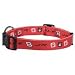 Pet Supplies : Nascar Dale Earnhart Jr Medium (14"-20") Dog Collar