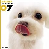THE DOG マルチーズ 2007年 カレンダー