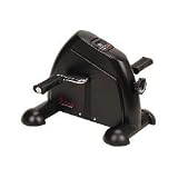 Mini Cycle by Sunny Distributor Inc
