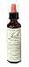 Bach Essence Clematis 20 Milliliters