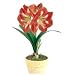 Red Lion Amaryllis Holiday Bulb in Ceramic with Sea Glass