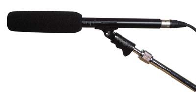 MusicalInstruments: Apex 175 Shotgun Condenser Microphone