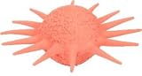 Vo-Toys Latex Sun Ball Dog Toy Assorted Colors
