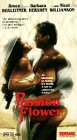 Passion Flower [VHS] [Import]