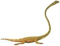 Tanystropheus