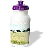 Florene Impressionism - Florida Countryside - Water Bottles