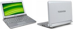 Toshiba Mini NB305-N440WH 10.1-Inch Frost White Netbook (8 Hour Battery Life)