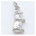 Groundhog Charm