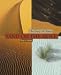 Sand on the Move: The Story of Dunes (First Books - Earth and Sky Science)