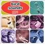 Bird Sounds