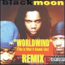 Worldwind [12" VINYL]