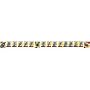 Hot Wheels Fast Action Banner