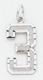 Large #3 Charm - WLN03