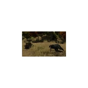 The Hunt