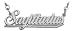 10K White Gold Sagittarius Script Zodiac Pendant Nov 23-De22 with 16" chain