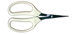 ARS 320BT Bonsai and Fruit Scissor