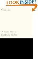 Darkness Visible: A Memoir of Madness (Vintage classics)