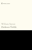 Darkness Visible: A Memoir of Madness (Vintage classics)