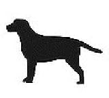 Labrador Retriever Leash Hook (Approx. 9.5' x 6.5')