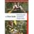AMC River Guide Massachusetts/Connecticut/Rhode Island, 4th: A Comprehensive Guide to Flatwater, Quickwater and Whitewater (AMC River Guide Series)