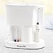 Waterpik WP-60 Personal Dental System