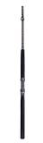 Star Handcrafted Standup Spinning Rod STSS30FHC