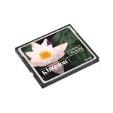 Kingston CF/1024